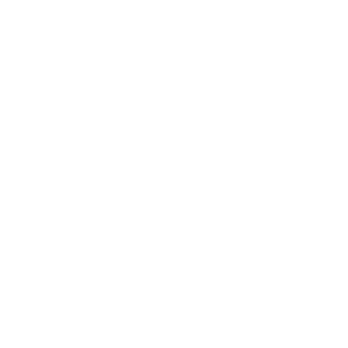 BIN MANZOOR